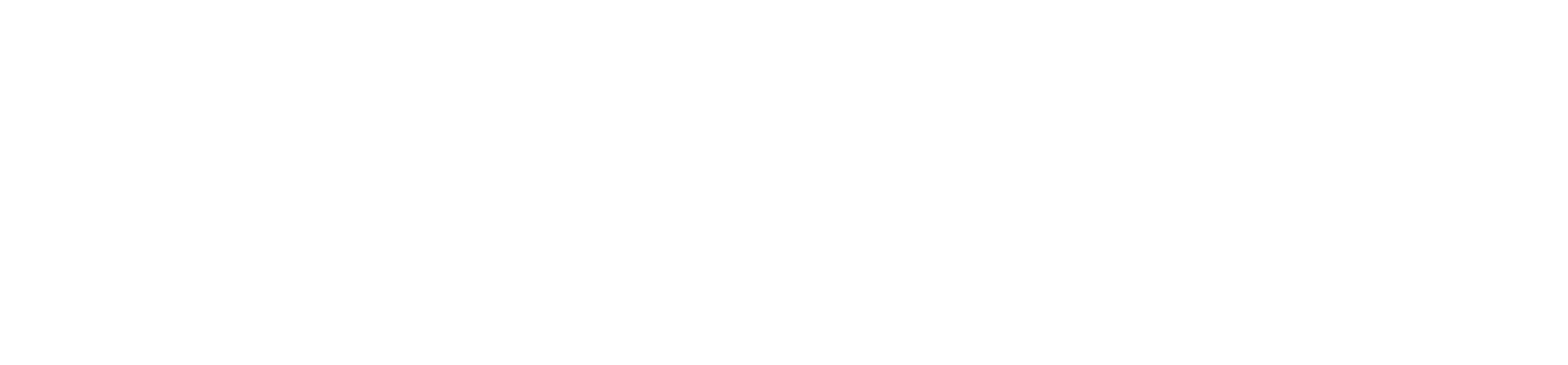 Data Nexus Labs Logo